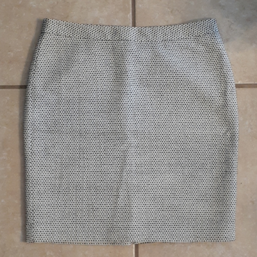 Ann Taylor Loft Skirt Sz 8